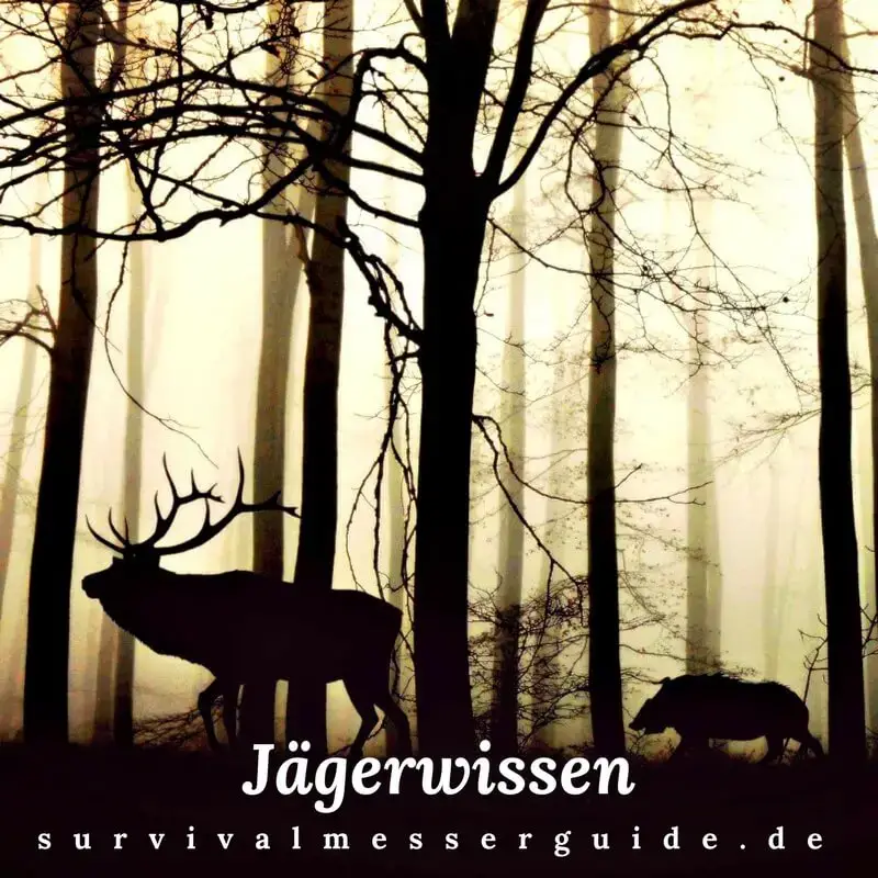 Buch jäger - Der absolute Vergleichssieger unseres Teams