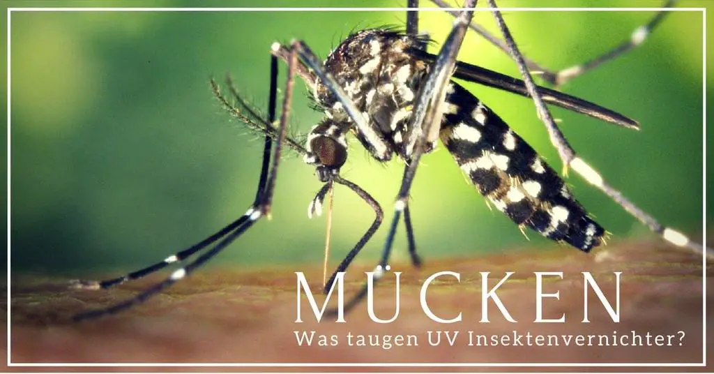 Was taugen UV Insektenvernichter gegen Mücken