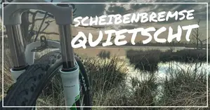 Scheibenbremse Quietscht Wenig Bremskraft Bremsbelage Am Fahrrad Wechseln Shimano B01s Youtube