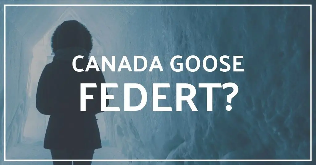 Canada Goose jacke verliert daunen