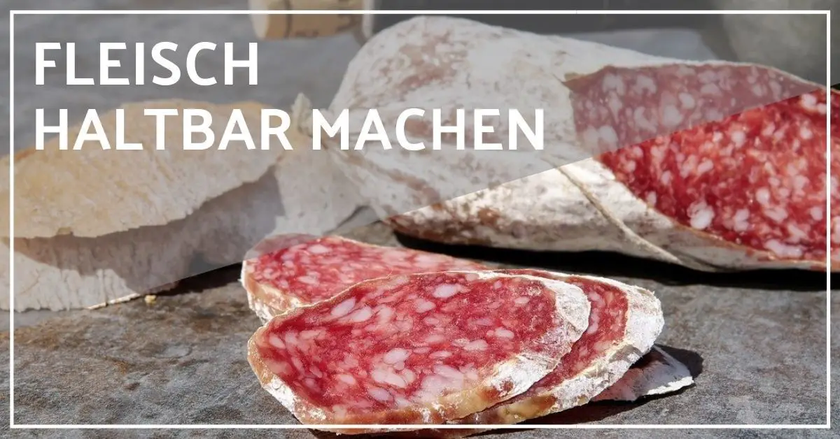 Fleisch haltbar machen (2023) 10 einfache, moderne Methoden