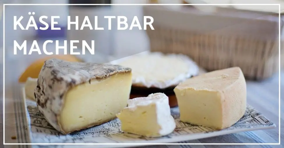 Wie kann man Käse länger haltbar machen? 5 einfache Methoden