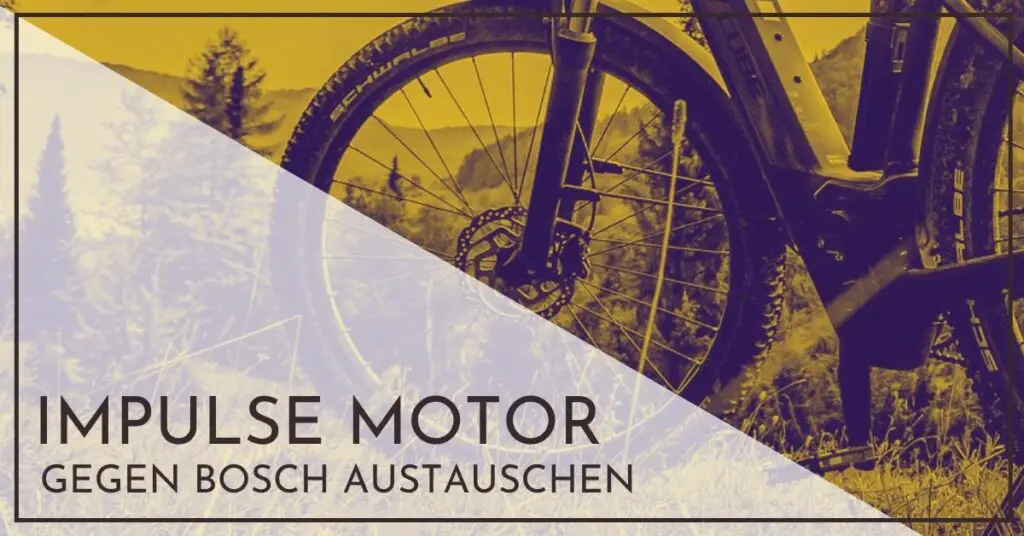 Derby Cycle Impulse Motor gegen Bosch tauschen