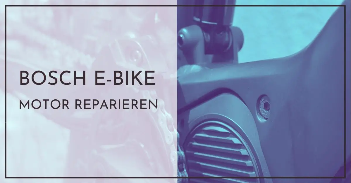 Bosch EBike Motor reparieren Selbst oder Werkstatt?