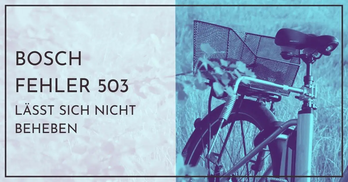 Bosch Fehler 503 lässt sich nicht beheben Soforthilfe für Neulinge