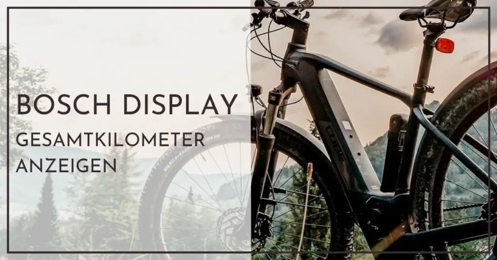 Die Gesamtkilometer am Bosch E-Bike Display anzeigen - Purion, Kiox, Nyon, Intuvia, Smartphonehub