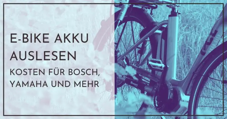 E Bike Akku auslesen Kosten - Bosch, Yamaha und mehr