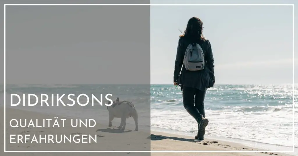 Moosbild - Premium Qualität/Islandmoos Kugelmoos Und Farn/Viele Größen