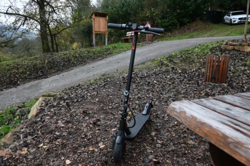 Der iScooter E9Pro Scooter steht auf einem mit Laub bedeckten Weg am Waldrand.